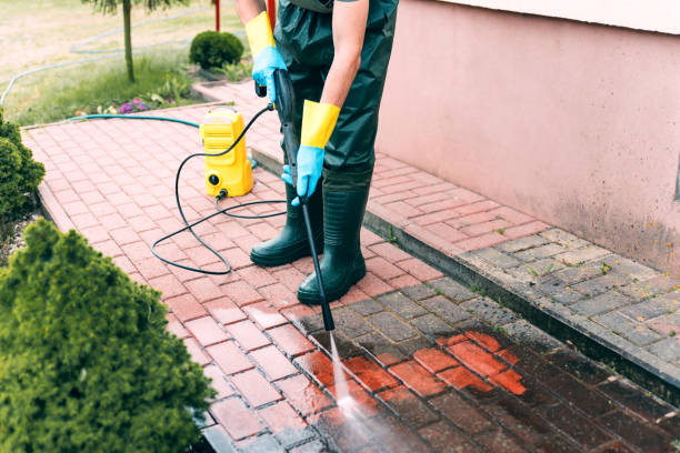 Best Animal Enclosure Cleaning  in Beesleys Point, NJ